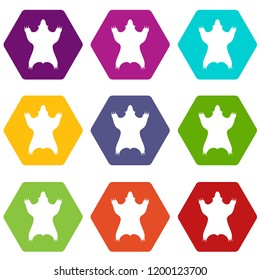 Bear skin icons 9 set coloful isolated on white for web