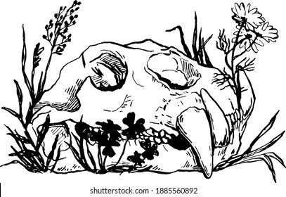 A bear skull and flowers and leaves sprouting through it.
Black and white hand drawn illustration