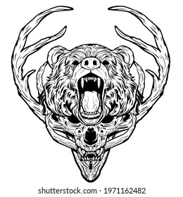 
Bear skull and head. Rounded vector illustration