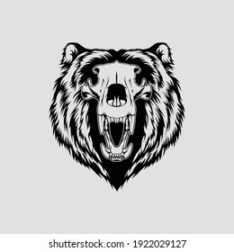 Bear skull head vector illustration 