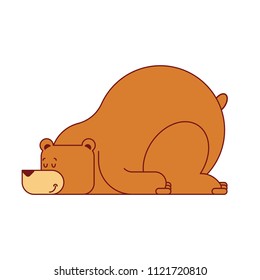 Bear sleep isolated. Wild beast sleep. Vector illustration
