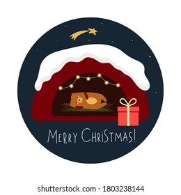 The bear is sleeping in the den. Vector illustration in a flat style. Vector illustration for Merry Christmas greeting card