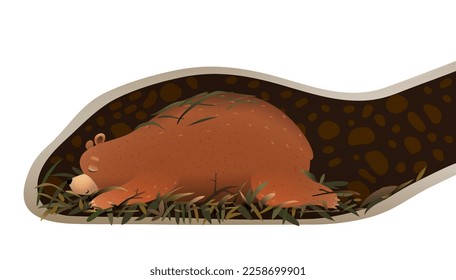 Bear sleeping or hibernating in its den or burrow. Cute animal habitat illustration for children. Kids animal house cartoon, inside the bear den. Vector wildlife drawing for kids.