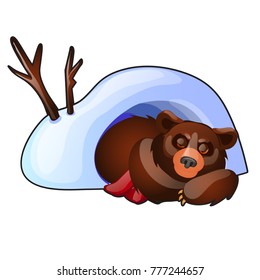 The bear is sleeping in a snow den isolated on white background. Vector cartoon close-up illustration.