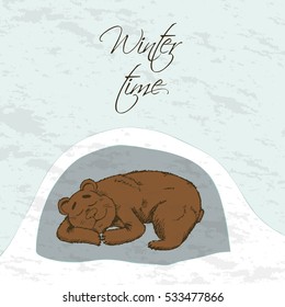 Bear sleeping in the winter in a den. Hand drawn sketch vector illustration.