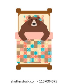 Bear sleeps in bed. sleeping grizzly. Vector illustration
