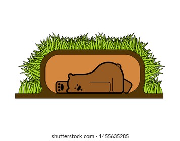 Bear sleeps in den. Beast is sleeping. vector illustration
 
