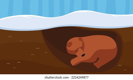 The bear sleeps in his lair