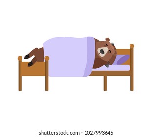 Bear sleeps on bed. Grizzly asleep. Wild beast dormant. Vector illustration