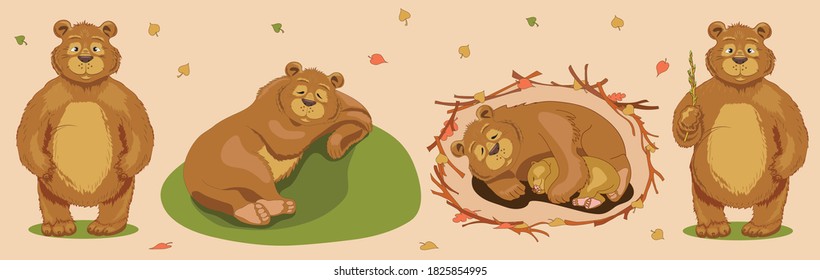 A bear sleeps sweetly on a hill in summer under a tree. Good brown bear. A bear with a bear cub sleeps in a den in the winter in an embrace. Ursa. Winter hibernation of bears