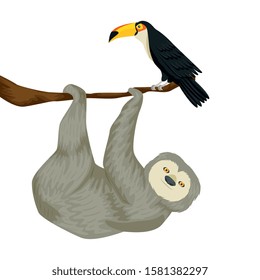bear sloth hanging of branch with toucan vector illustration design