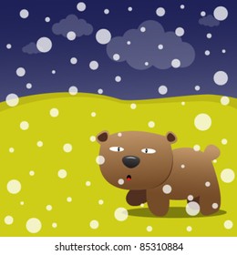 Bear and snow in the forest