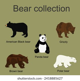 Bear species collection vector  illustration isolated on background. Black bear, Grizzly, Polar bear, Panda, Brown bear symbol.