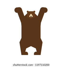 Bear standing isolated. Grizzly forest predator beast.

