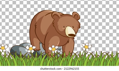Bear standing on the grass field on transparent background illustration