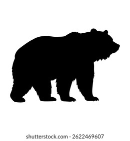 Bear Standing silhouette icon vector flat design on white background.
