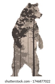 The bear stands on its hind legs. Inside a pine forest. Vector illustration, isolated object.