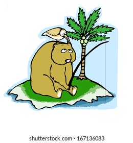 Bear Stranded In an Island