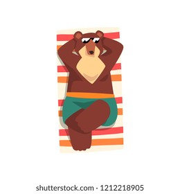 Bear in sunglasses sunbathing on the beach, cute animal cartoon character relaxing on the seashore at summer vacation vector Illustration on a white background