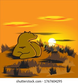 bear and sunset image for wallpapers