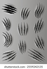 Bear or tiger claw marks. Scratches and torn traces of vector animal paw slashes. Hole in sheet of paper with torn edges. Vector illustration