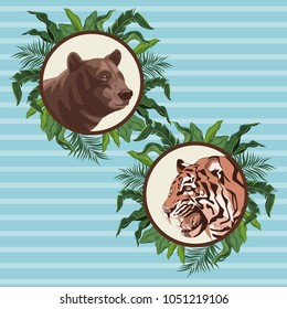 Bear and tiger drawing over blue background
