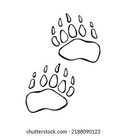 Bear tracks drawn by hand isolated on white background vector illustration