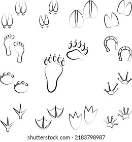 Bear tracks icon in a collection with other items