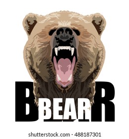 Bear typography, t-shirt graphics, poster, vector illustration 