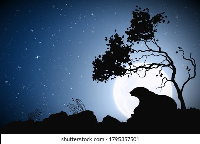 Bear under tree on night. Wild animal silhouette. Moon in starry sky