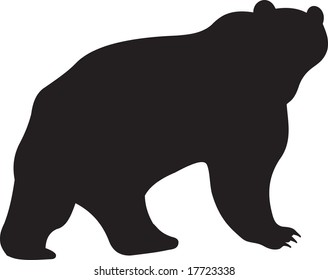 bear, vector