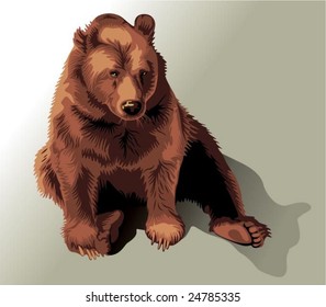 bear - vector