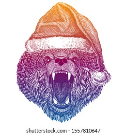 Bear. Vector animal wearing Santa Claus Christmas hat. Print for children. Kids illustration for posters, clothes, party invitations.