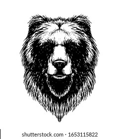 bear vector head avatar logo print