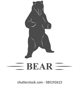 bear vector, bear hesitate posing, standing, looking to the bottom of white background, isolated. T - print