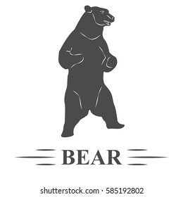 bear vector, bear hesitate, posing, standing, looking into the distance,white background, isolated. T - print