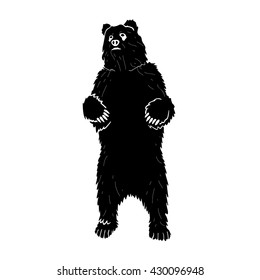 Bear Vector Icon