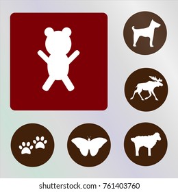 bear vector icon