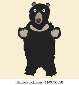 bear vector illustration 