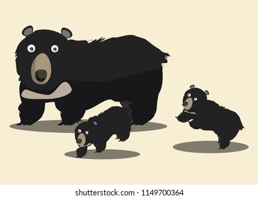 bear vector illustration 