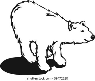Bear Vector Illustration