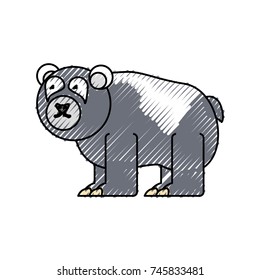 bear vector illustration