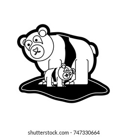 bear vector illustration