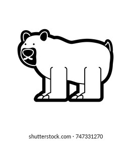 bear vector illustration