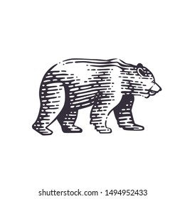 Bear. Vector illustration. Black and white vector objects.