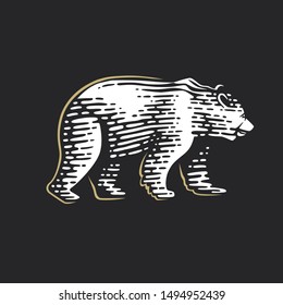 Bear. Vector illustration. Black and white vector objects.