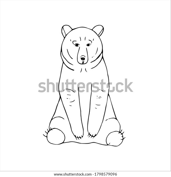 Bear Vector Illustration Hand Drawing Stock Vector (Royalty Free ...