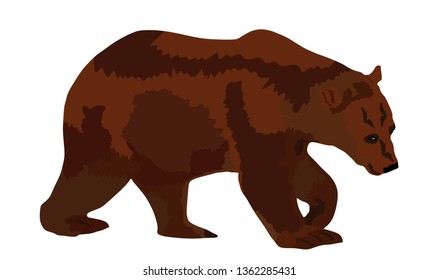 Bear vector illustration isolated on white background. Grizzly symbol. Big animal, nature wildlife concept.