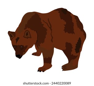 Bear vector illustration isolated on white background. Grizzly symbol. Big animal, nature wildlife concept.