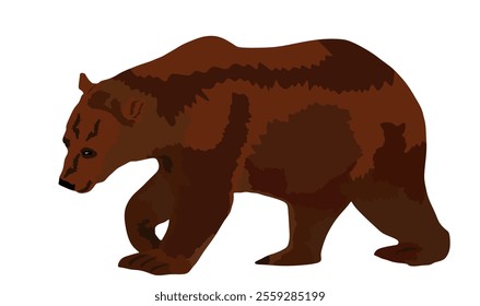 Bear vector illustration isolated on white background. Grizzly symbol. Big animal, nature wildlife concept.